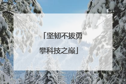 坚韧不拔勇攀科技之巅