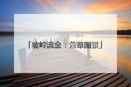 坡岭流金：萱草图景
