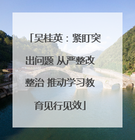 吴桂英：紧盯突出问题 从严整改整治 推动学习教育见行见效