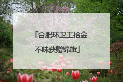 合肥环卫工拾金不昧获赠锦旗