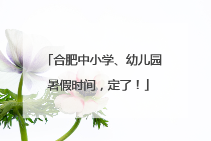 合肥中小学、幼儿园暑假时间，定了！