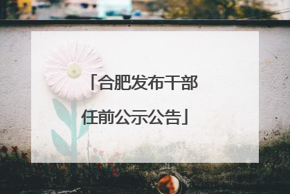 合肥发布干部任前公示公告