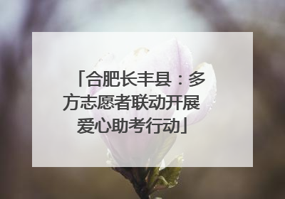 合肥长丰县：多方志愿者联动开展爱心助考行动