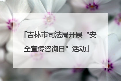 吉林市司法局开展“安全宣传咨询日”活动