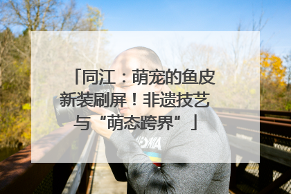 同江：萌宠的鱼皮新装刷屏！非遗技艺与“萌态跨界”