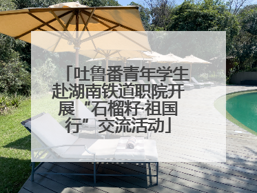 吐鲁番青年学生赴湖南铁道职院开展“石榴籽·祖国行”交流活动