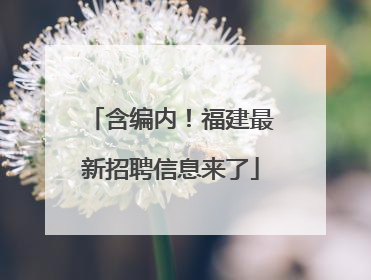 含编内！福建最新招聘信息来了