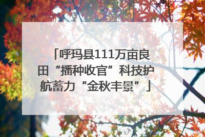 呼玛县111万亩良田“播种收官”科技护航蓄力“金秋丰景”