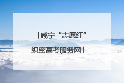 咸宁“志愿红”织密高考服务网