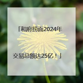 和府捞面2024年交易总额达25亿！
