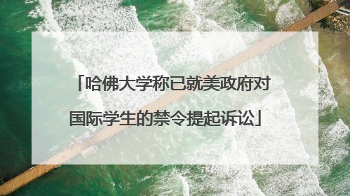 哈佛大学称已就美政府对国际学生的禁令提起诉讼