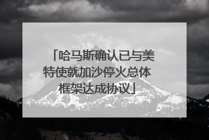 哈马斯确认已与美特使就加沙停火总体框架达成协议