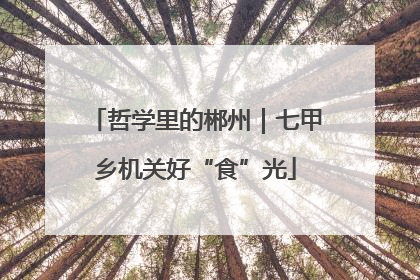 哲学里的郴州｜七甲乡机关好“食”光