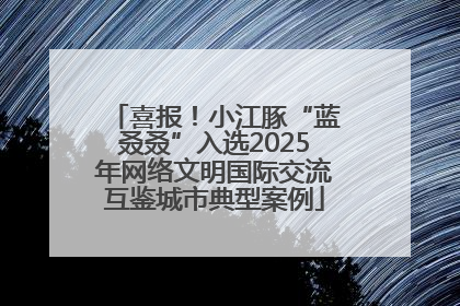 喜报！小江豚“蓝叒叒”入选2025年网络文明国际交流互鉴城市典型案例