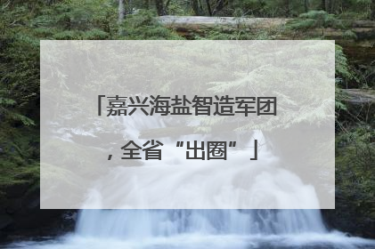 嘉兴海盐智造军团，全省“出圈”