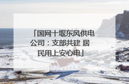 国网十堰东风供电公司：支部共建 居民用上安心电