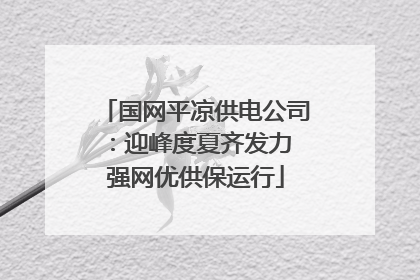 国网平凉供电公司：迎峰度夏齐发力 强网优供保运行
