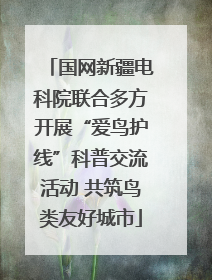 国网新疆电科院联合多方开展“爱鸟护线”科普交流活动 共筑鸟类友好城市