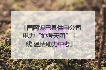 国网镇巴县供电公司 电力“护考天团”上线 温情助力中考