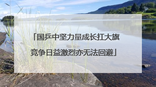 国乒中坚力量成长扛大旗 竞争日益激烈亦无法回避