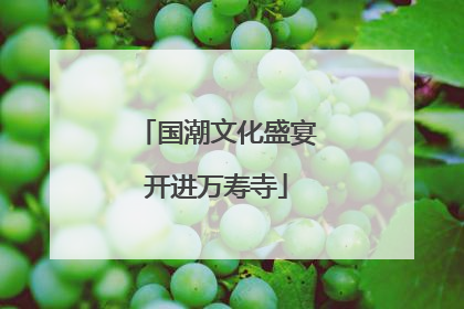 国潮文化盛宴开进万寿寺