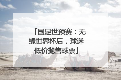 国足世预赛：无缘世界杯后，球迷低价抛售球票