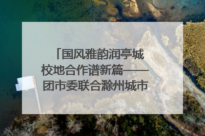 国风雅韵润亭城 校地合作谱新篇——团市委联合滁州城市职业学院助力传统文化“破圈”绽放