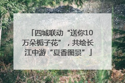 四城联动“送你10万朵栀子花”，共绘长江中游“夏香图景”