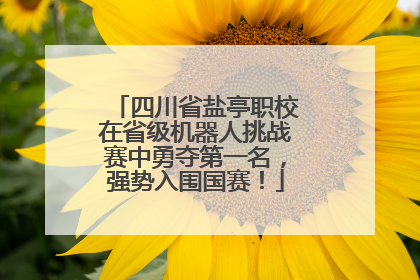 四川省盐亭职校在省级机器人挑战赛中勇夺第一名，强势入围国赛！