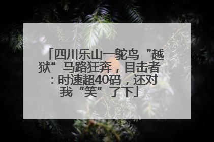 四川乐山一鸵鸟“越狱”马路狂奔，目击者：时速超40码，还对我“笑”了下