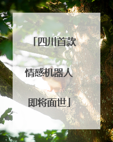 四川首款情感机器人即将面世