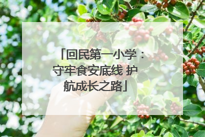 回民第一小学：守牢食安底线 护航成长之路
