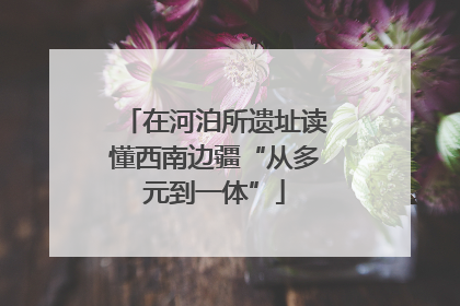 在河泊所遗址读懂西南边疆“从多元到一体”