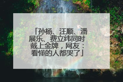 孙杨、汪顺、潘展乐、费立纬同时戴上金牌，网友：看懂的人都哭了