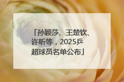 孙颖莎、王楚钦、许昕等，2025乒超球员名单公布