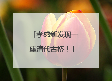 孝感新发现一座清代古桥！