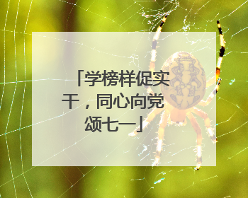 学榜样促实干，同心向党颂七一