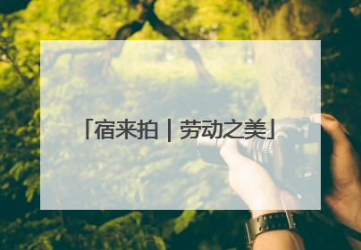 宿来拍｜劳动之美