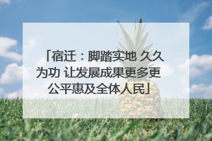 宿迁：脚踏实地 久久为功 让发展成果更多更公平惠及全体人民