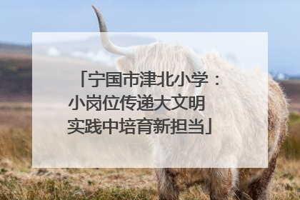 宁国市津北小学：小岗位传递大文明 实践中培育新担当