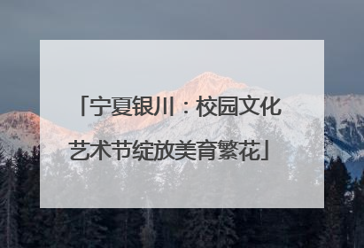 宁夏银川：校园文化艺术节绽放美育繁花