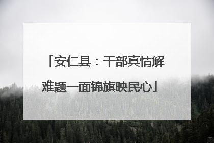 安仁县：干部真情解难题一面锦旗映民心