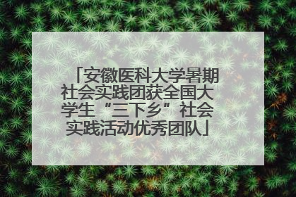 安徽医科大学暑期社会实践团获全国大学生“三下乡”社会实践活动优秀团队