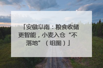 安徽阜南：粮食收储更智能，小麦入仓“不落地”（组图）
