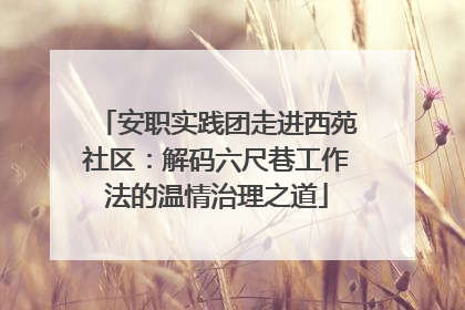 安职实践团走进西苑社区：解码六尺巷工作法的温情治理之道