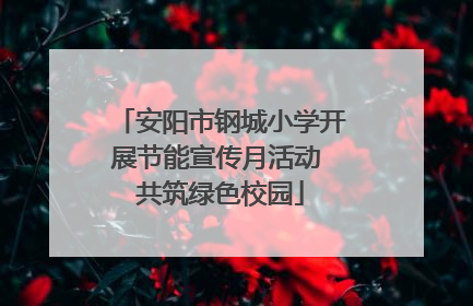 安阳市钢城小学开展节能宣传月活动 共筑绿色校园