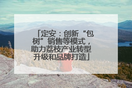 定安：创新“包树”销售等模式，助力荔枝产业转型升级和品牌打造