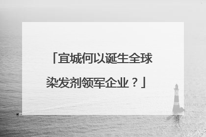 宜城何以诞生全球染发剂领军企业？
