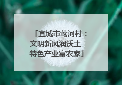宜城市莺河村：文明新风润沃土 特色产业富农家