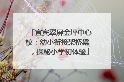 宜宾翠屏金坪中心校：幼小衔接架桥梁，探秘小学初体验
